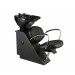 Delta Collection - "ARENA" Shampoo Bowl Backwash Unit with UPC Fixtures  