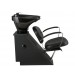 Delta Collection - "ARENA" Shampoo Bowl Backwash Unit with UPC Fixtures  
