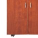 "CORIA" Salon Trolley - Cherry Colour